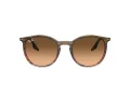Ray-Ban RB 0RB2204 13953B 54 Men, Women sunglasses