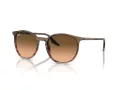 Ray-Ban RB 0RB2204 13953B 54 Men, Women sunglasses