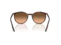 Ray-Ban RB 2204 14293B 54 Men, Women sunglasses
