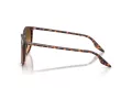 Ray-Ban RB 2204 14293B 54 Men, Women sunglasses