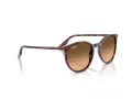 Ray-Ban RB 2204 14293B 54 Men, Women sunglasses