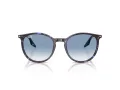 Ray-Ban RB 2204 14303F 51 Men, Women sunglasses