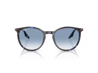 Ray-Ban RB 2204 14303F 51 Men, Women sunglasses