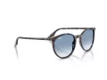 Ray-Ban RB 2204 14303F 51 Men, Women sunglasses