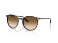 Ray-Ban RB 2204 143151 51 Men, Women sunglasses