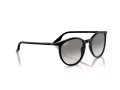 Ray-Ban RB 0RB2204 901/32 51 Men, Women sunglasses