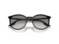 Ray-Ban RB 0RB2204 901/32 51 Men, Women sunglasses