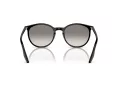 Ray-Ban RB 0RB2204 901/32 54 Men, Women sunglasses