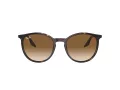 Ray-Ban RB 0RB2204 902/51 51 Men, Women sunglasses