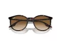 Ray-Ban RB 0RB2204 902/51 51 Men, Women sunglasses
