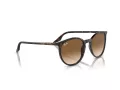 Ray-Ban RB 0RB2204 902/51 54 Men, Women sunglasses
