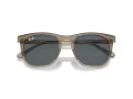 Ray-Ban RB 2210 6765R5 53 Men, Women sunglasses