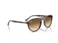 Ray-Ban RB 2215 143151 56 Men, Women sunglasses