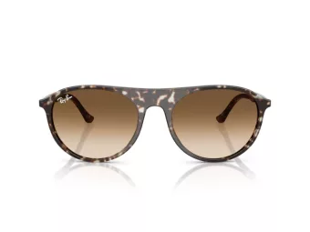 Ray-Ban RB 2215 143151 59 Men, Women sunglasses