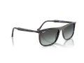 Ray-Ban RB 2216 1430GK 58 Men, Women sunglasses
