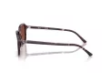 Ray-Ban Raimond RB 2231 1416C5 58 Men, Women sunglasses