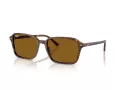Ray-Ban Raimond RB 2231 141833 58 Men, Women sunglasses