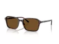 Ray-Ban Raimond RB 2231 902/57 56 Men, Women sunglasses