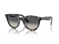 Ray-Ban Wayfarer Way RB 2241 133371 54 Men, Women sunglasses