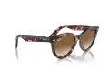 Ray-Ban Wayfarer Way RB 2241 133451 54 Men, Women sunglasses