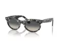 Ray-Ban Wayfarer Oval RB 2242 133371 50 Men, Women sunglasses