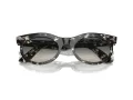 Ray-Ban Wayfarer Oval RB 2242 133371 50 Men, Women sunglasses