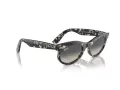 Ray-Ban Wayfarer Oval RB 2242 133371 50 Men, Women sunglasses