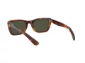 Ray-Ban Caribbean RB 2248 954/31 52 Men, Women sunglasses