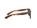 Ray-Ban Caribbean RB 2248 954/31 52 Men, Women sunglasses