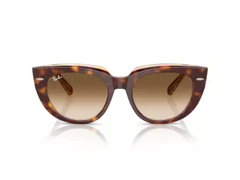 Ray-Ban Doreen RB 2286 141451 49 Women sunglasses
