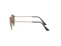 Ray-Ban Round Metal RB 3447 9002A6 53 Men, Women sunglasses