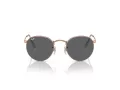Ray-Ban Round Metal RB 0RB3447 9202B1 47 Men, Women sunglasses