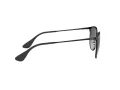 Ray-Ban Erika Metal RB 3539 002/8G 54 Women sunglasses