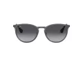 Ray-Ban Erika Metal RB 3539 192/8G 54 Women sunglasses