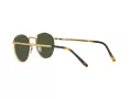 Ray-Ban New Round RB 3637 9196/31 50 Men, Women sunglasses