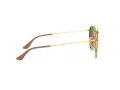Ray-Ban RB 3647N 001/7O 51 Men, Women sunglasses