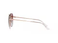 Ray-Ban RB 3680D 9202I8 60 Men, Women sunglasses