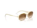 Ray-Ban RB 0RB3719 001/51 54 Men, Women sunglasses