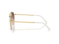 Ray-Ban RB 0RB3765 001/4O 53 Men, Women sunglasses