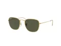 Ray-Ban Frank RB 3857 919658 51 Men, Women sunglasses