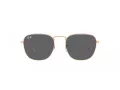 Ray-Ban Frank RB 3857 9202B1 51 Men, Women sunglasses