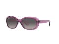 Ray-Ban Jackie Ohh RB 4101 6591/M3 58 Women sunglasses