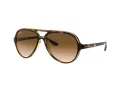 Ray-Ban Cats 5000 RB 4125 710/51 59 Men sunglasses