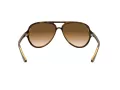 Ray-Ban Cats 5000 RB 4125 710/51 59 Men sunglasses