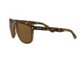 Ray-Ban Boyfriend RB 4147 710/57 60 Men sunglasses
