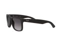 Ray-Ban Justin RB 4165 601/8G 51 Men sunglasses