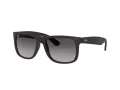 Ray-Ban Justin RB 4165 601/8G 55 Men sunglasses