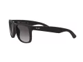 Ray-Ban Justin RB 4165 601/8G 55 Men sunglasses
