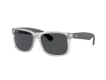 Ray-Ban Justin RB 4165 651287 51 Men sunglasses