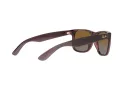 Ray-Ban Justin RB 4165 6597/T5 51 Men sunglasses